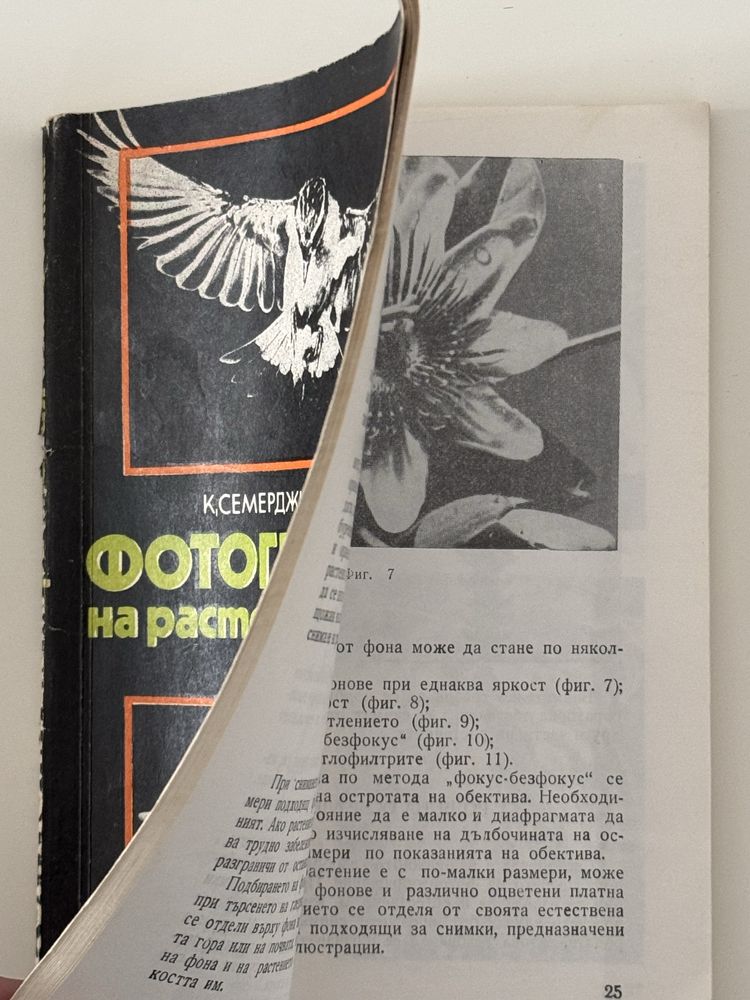 Книги за изкуството/Антично, Първобитно и Фотография/Цена Заедно