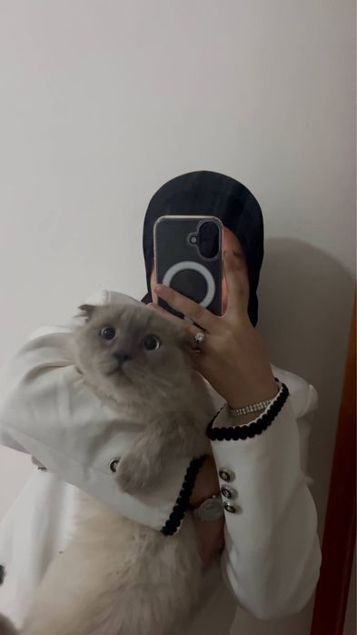 Siyamiskiy mushuk, vyazkaga, o’g’il bola