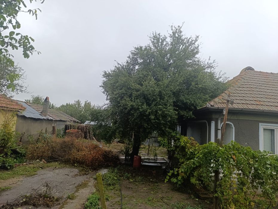 Case în cioranii de jos