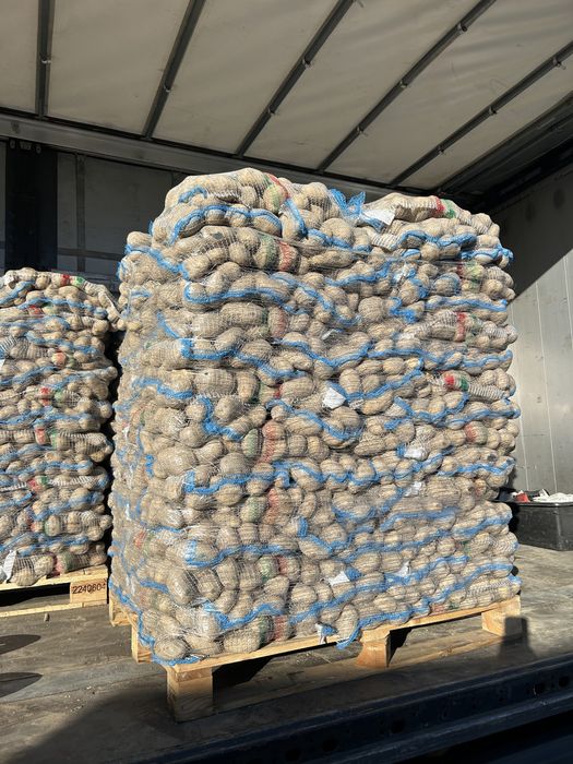 Cartofi alb si rosu import en gross