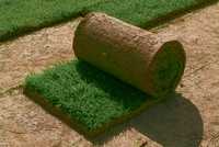 тревен чим за бързо озеленяване