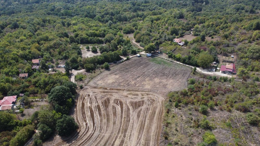 Дава се под наем Парцел в с. Кичево, Област Варна - 6000 кв.м за 204 € - Снимка #7