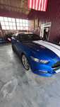 Vand Ford Mustang 2017