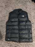 Vesta the north face