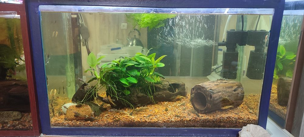 Аквариум (37 л.)  с фильтром, грунтом.