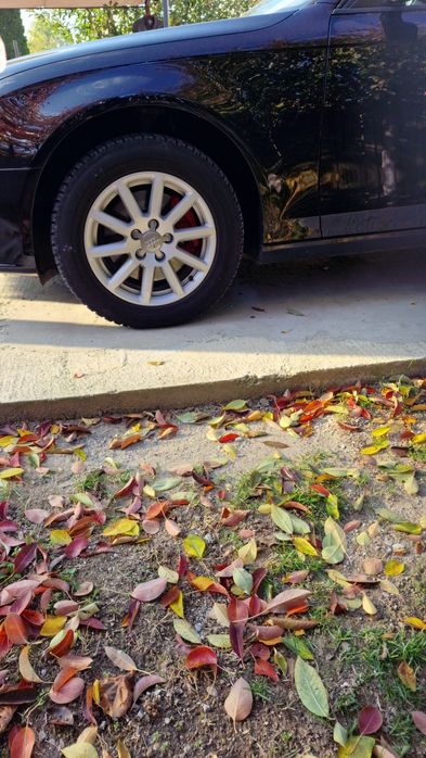 Vand jante originale audi