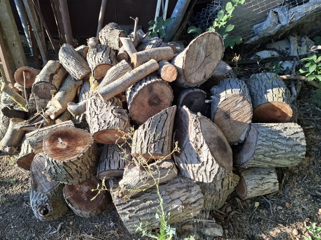 Сухи Дърва за огрев