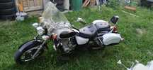 Motocicleta First Bike king