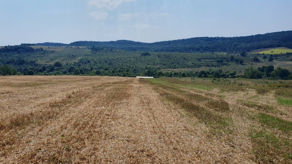 De vânzare teren arabil 2.58 ha. în comuna Bogda județul Timiș !!!