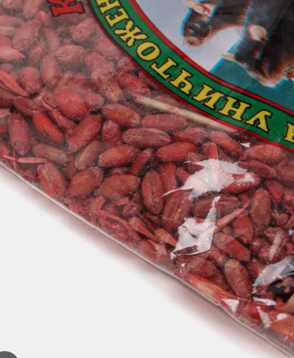 Kalamush dori, Sichqon dori, (Kuchli buĝdoyligi)