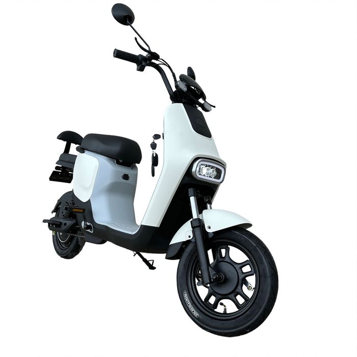 Bicicleta Trotineta Scuter Electric cu Pedale 500W 20Ah Plumb GEL