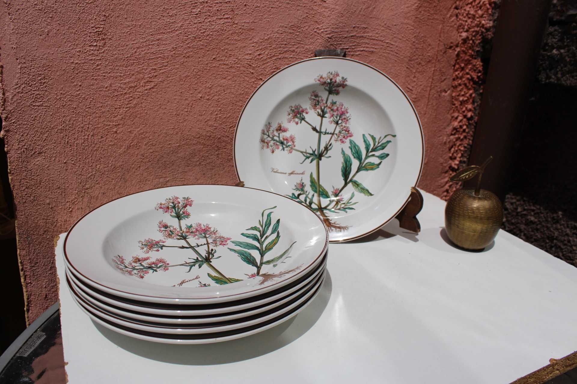 Set 6 farfurii supa portelan colectie VILLEROY & BOCH, BOTANICA