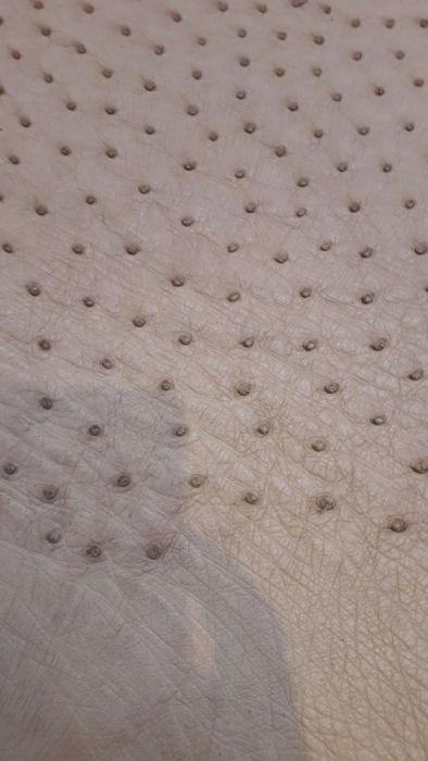 De vanzare Piele de strut