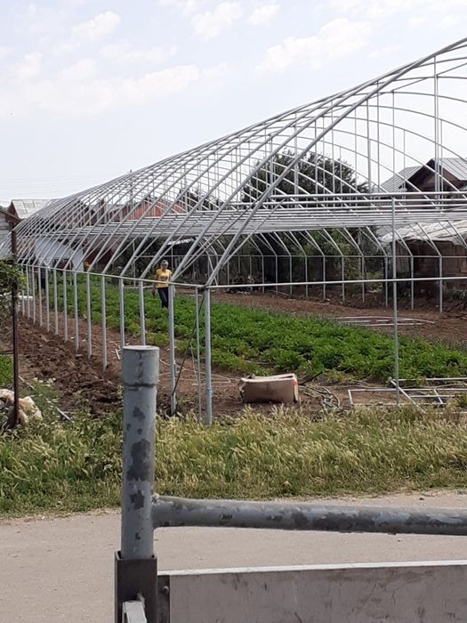 Solare si sere legume