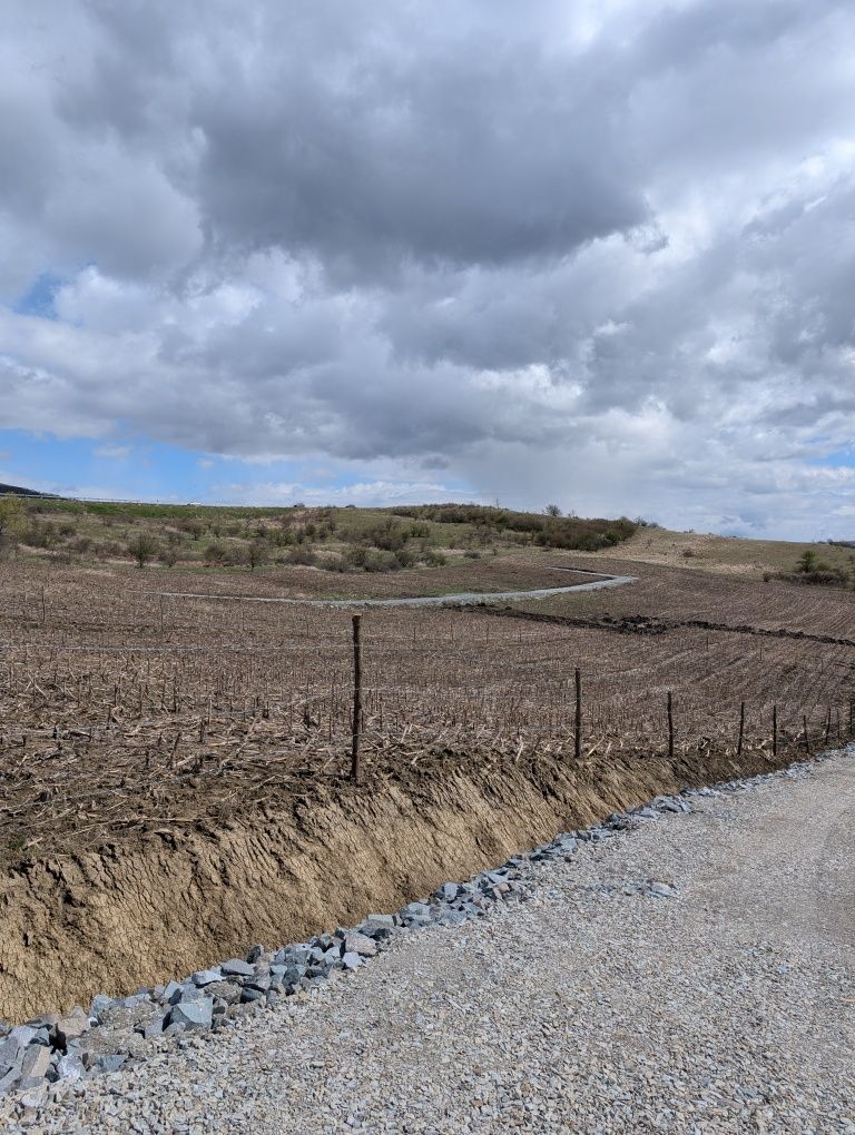 ULTIMA PARCELA de 600mp de Vânzare situat pe Valea Budacului