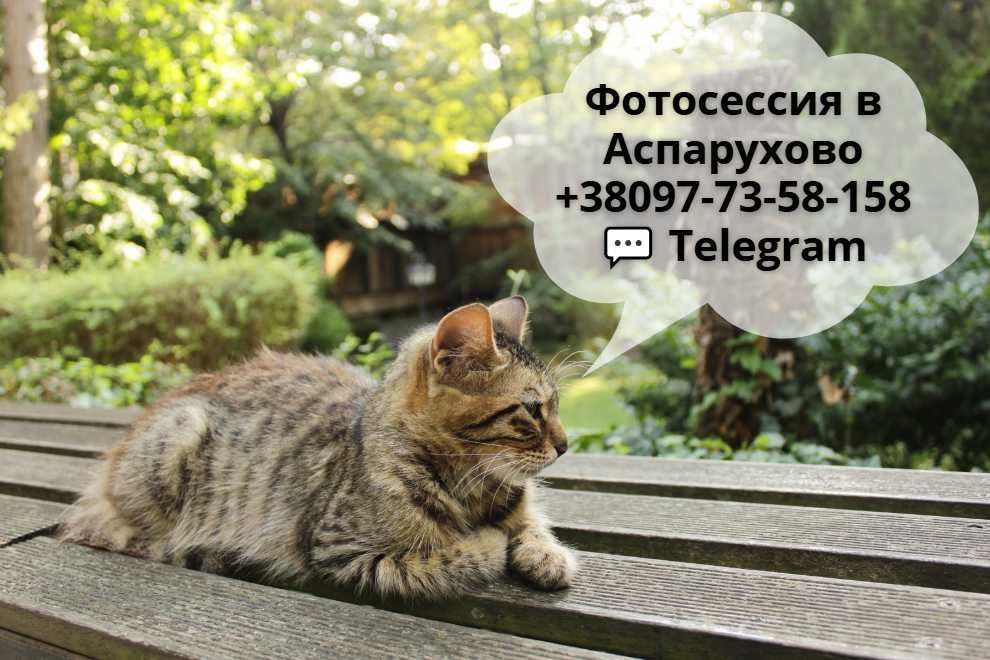 Безплатна фотосесия във Варна, квартал Аспарухово