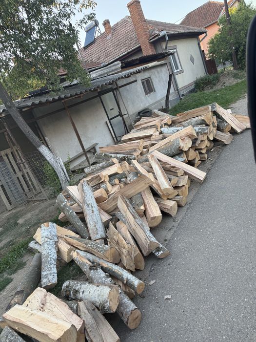 Lemne de foc Verzi/Uscate esențe tarii