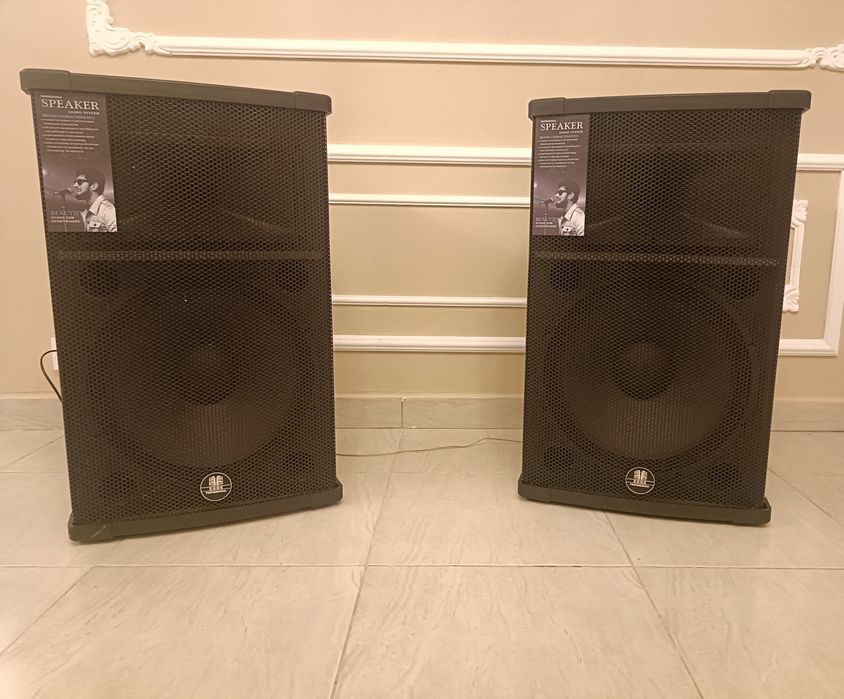 Boxe active Profesionale Eghe/Vlliodor/NRS/JBL 800W bluetooth + 2 mic