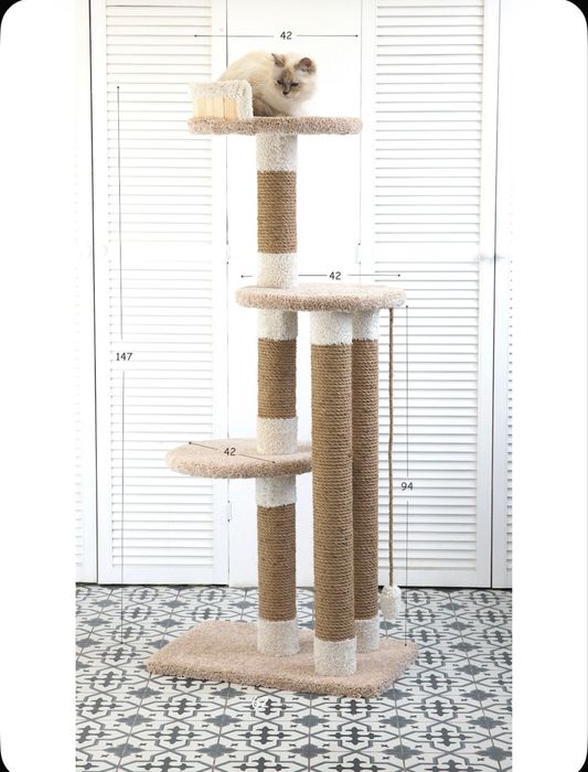 Когтеточка. Новая! Новая!