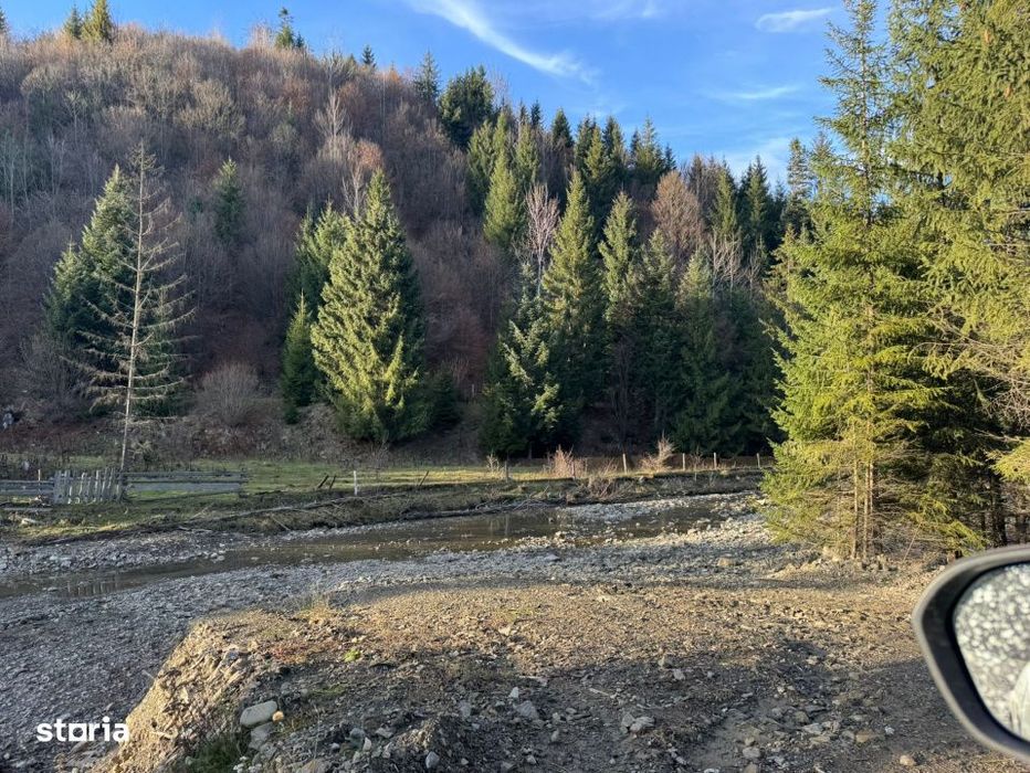 De vanzare 6850 mp pasune langa Manastirea Doroteia - Frasin /Plutonit