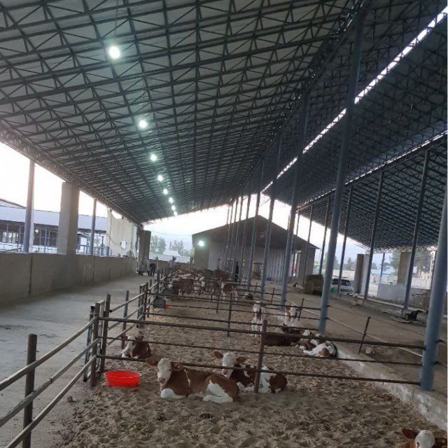 Biz sizlar uchun xar xil turdagi tom naves katta binolardi ustunsiz yo