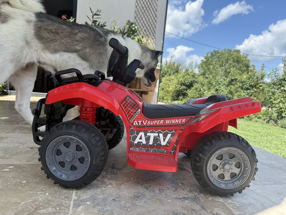 Vand ATV copii electric