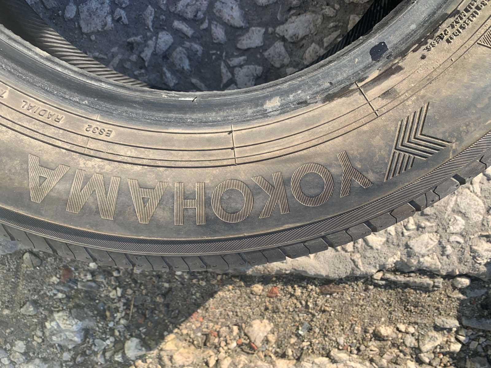 2 боря Летни гуми Yokohama 195/65 R15 Dot 4619 ном 80
