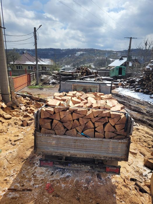 Lemne de foc esenta tare+40 755. 795 .425