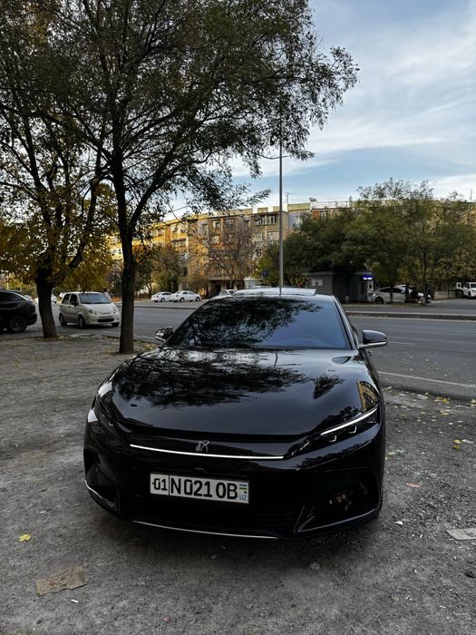 Byd HAN 2025 Smart 701km (kraska bor)