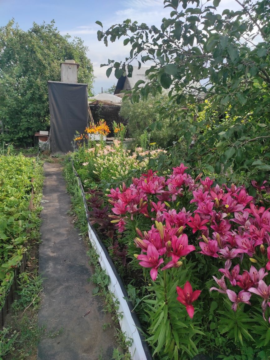 Продам дачу Сады 1  КВ 12