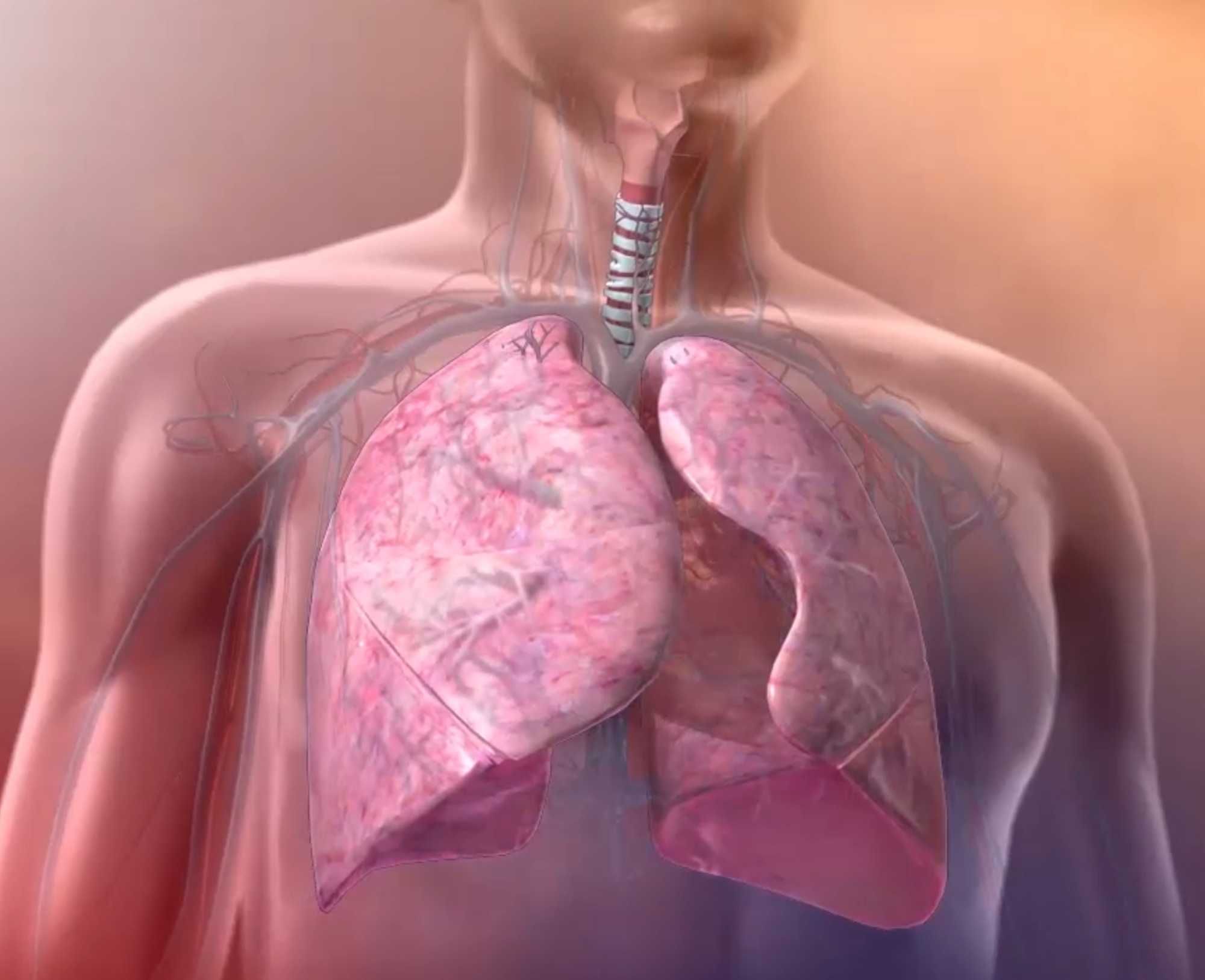Meditații Biologie Admitere Medicină + Bacalaureat