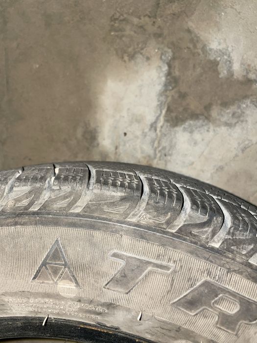 Шины Triangle 175/65 R14