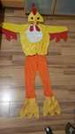 Costum serbare pui (cococ)