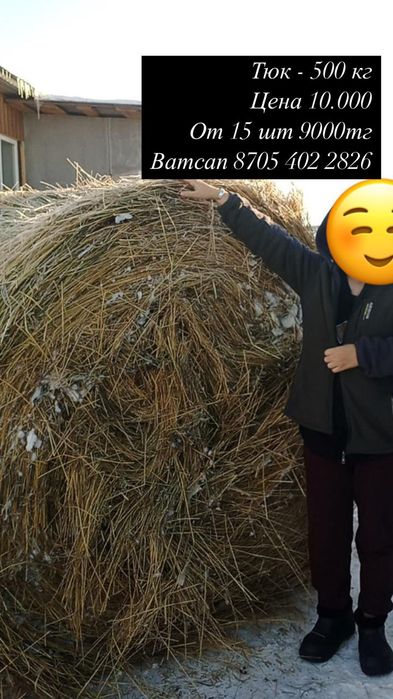 Продам сено в рулонах продам 450-500кг продам продам                .