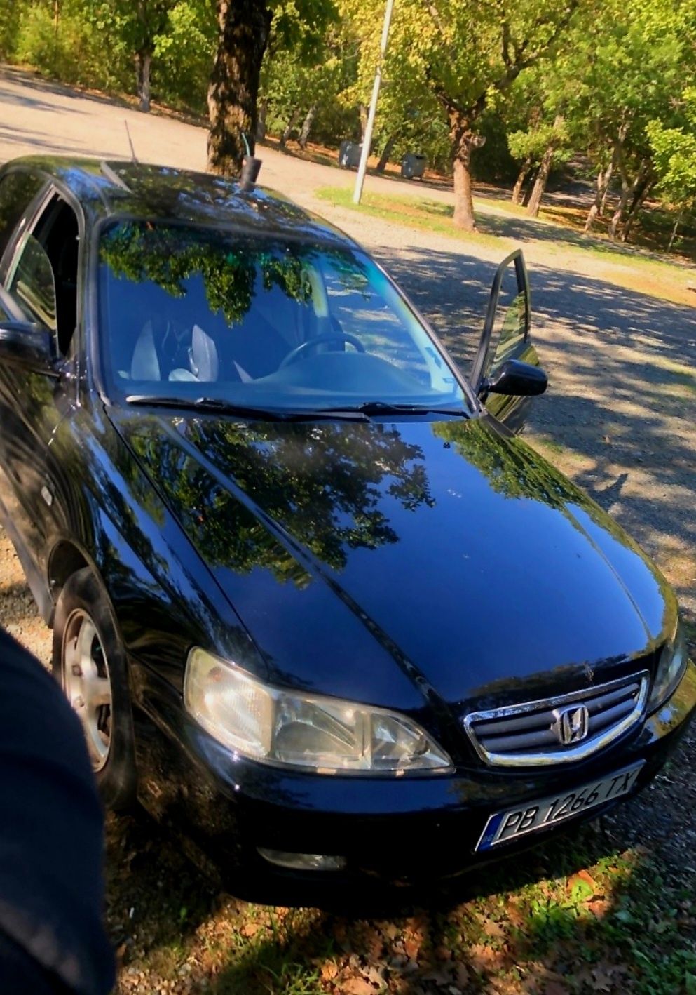 honda accord 2001г.