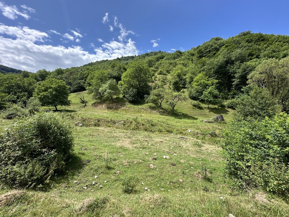 Vand 8534 mp teren in Rasinari Valea Stezii  (Valea Strambului)