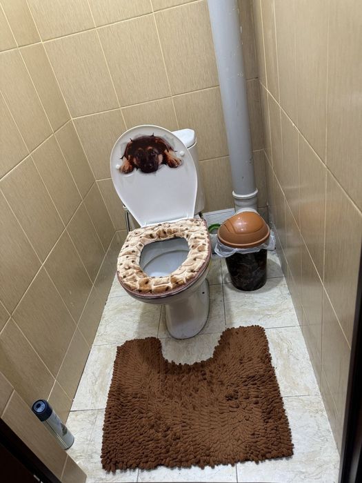 ПРОДАЮ СВОЮ  КВАРТИРУ 55.9 кв.м, 3-х комнатная, СЕРГЕЛИ