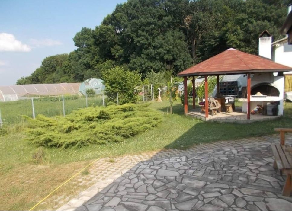 vila pensiune petrecere revelion anul nou nou