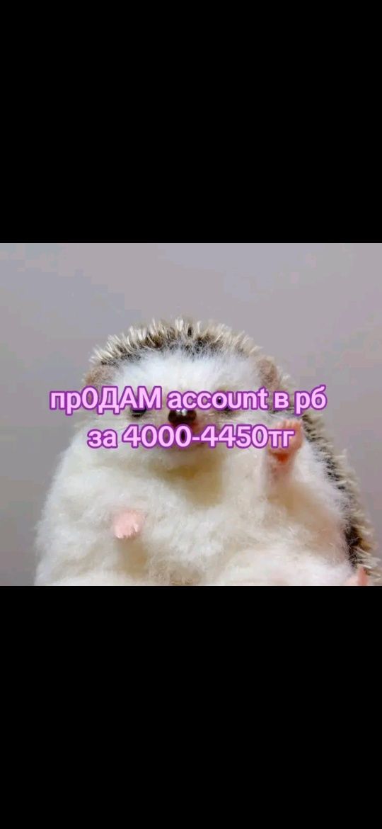 Продам жирный акк по рб