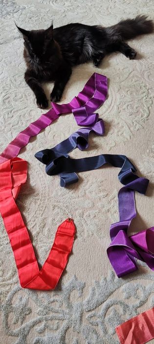 Лента sasaki для художественной гимнастики