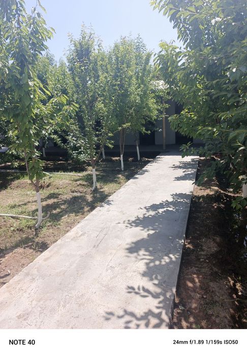 Toytepa dacha 6 sotix srochna