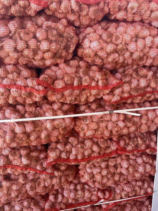 Usturoi pentru plantat si consum