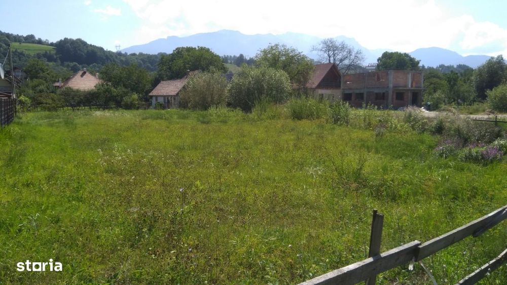 Teren de vanzare Bran