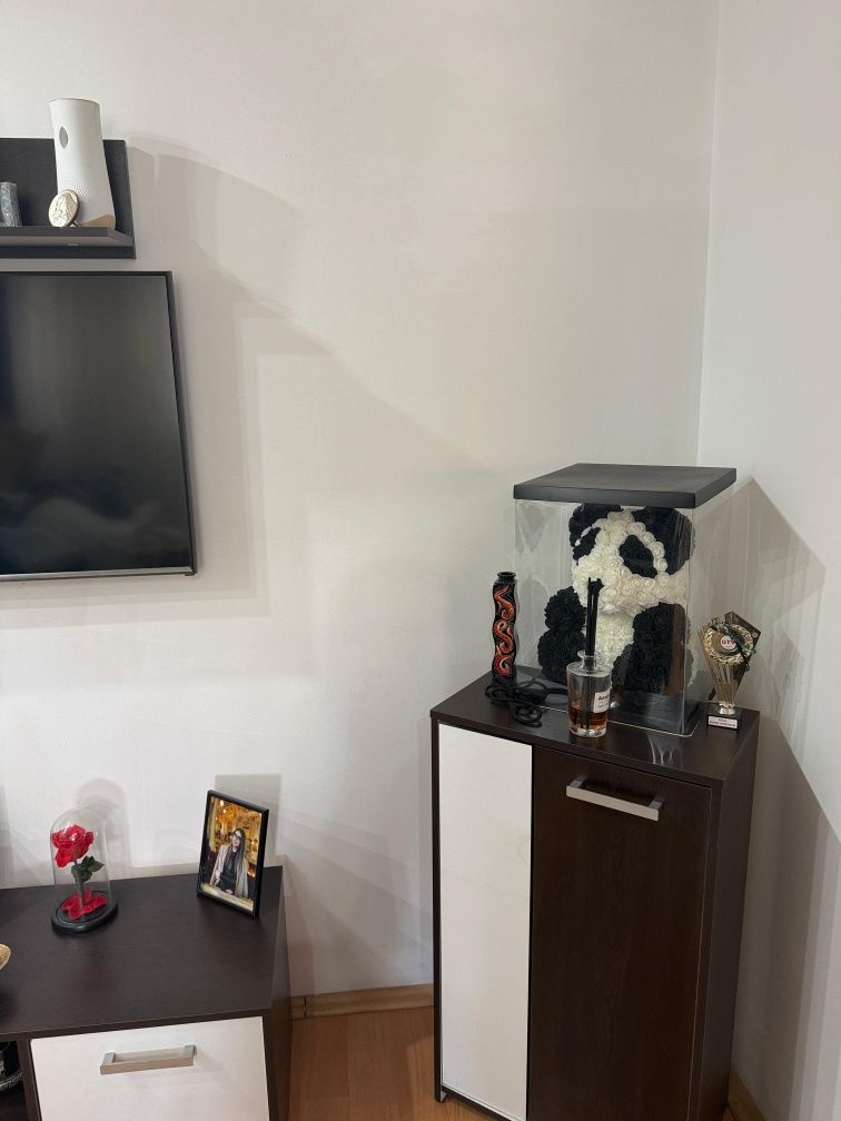 Living  wenge/alb 500 lei