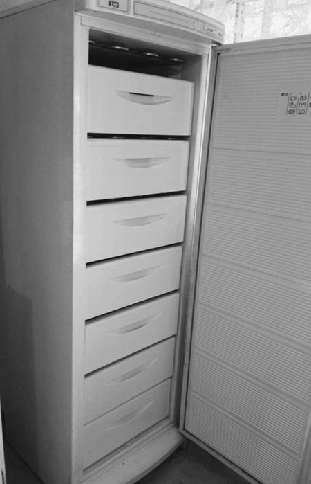 Голям фризер за мръвките през зимата