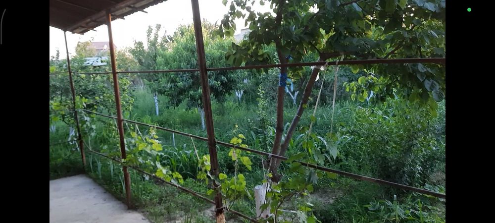 Продается дача 12 сотых. Адрес. Таш обл. Поселок Галлакудук