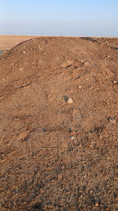 Егінге таза малдың көңі бар тегін