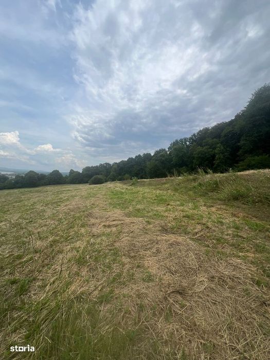 Teren între Tălmaciu și Racoviță – 25.000 mp în mijlocul naturii!