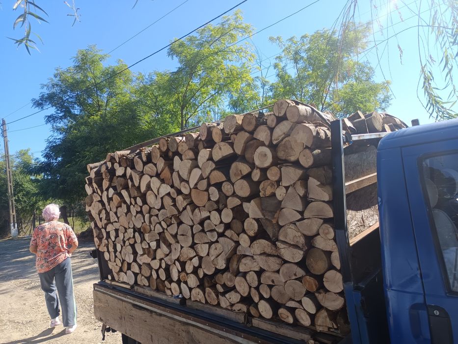 Aduc lemne de foc fag tăiete făcute de soba său centrala uscate