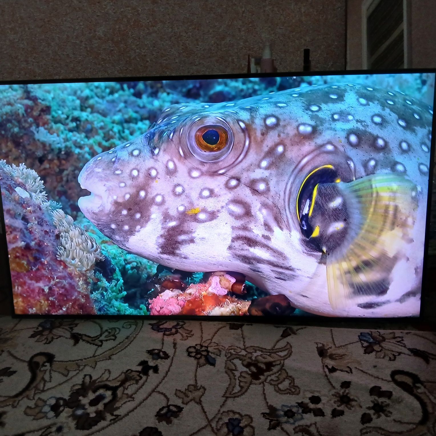 Samsung smart televizor sotiladi 50 dioganal
